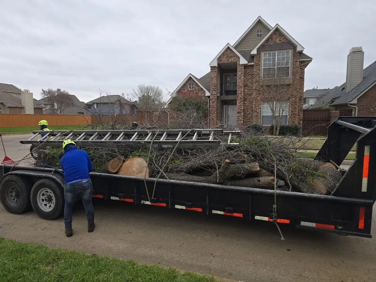 Expert Tree Fertilization with proper safety equipment in Fence Lake